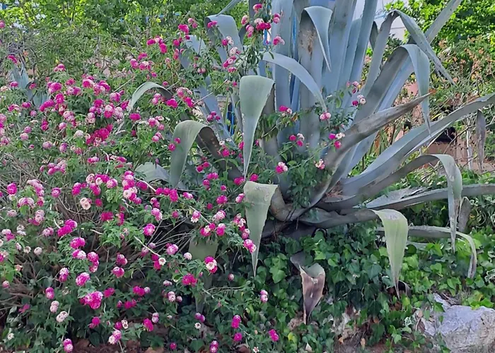 Confortable Maisonnette Dans De *